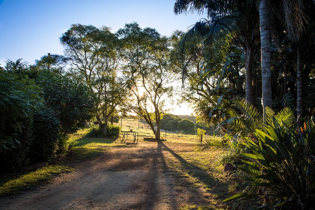 Hillview Cottages キンガロイ エクステリア 写真